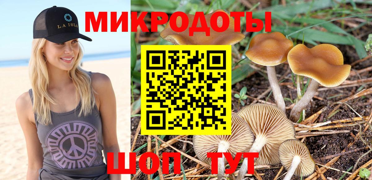 Галлюциногенные грибы Psilocybine cubensis  Галлюциногенные грибы MAGIC MUSHROOMS  магазин продажи наркотиков  Вход с VPN  Тимашёвск 