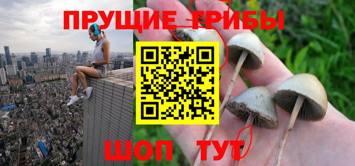 Псилоцибиновые грибы MAGIC MUSHROOMS Тимашёвск