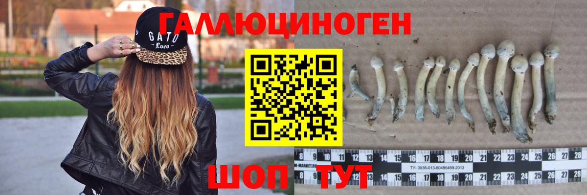 ГАШ Тимашёвск
